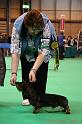 Crufts2011_2 1659